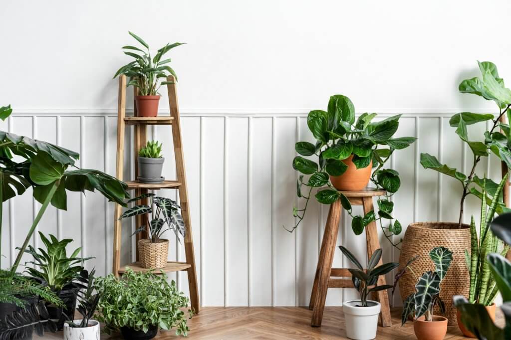 Soggiorno con piante in vaso di ceramica e parquet in legno