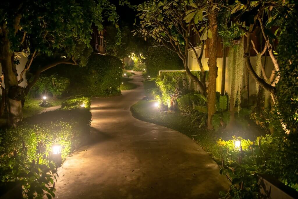 Giardino casa con alberi e cespugli e illuminazioni per terra