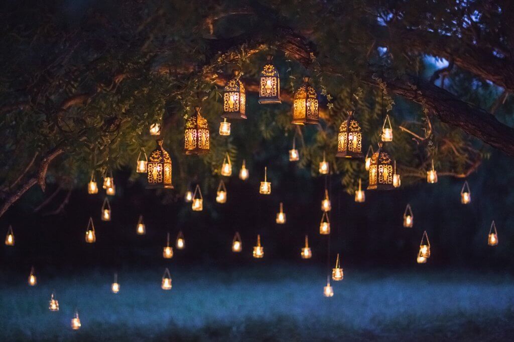 Lanterne appese su un albero di notte con giardino